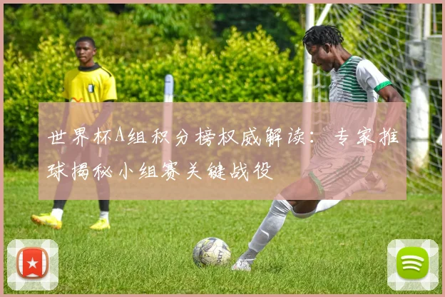 世界杯A组积分榜权威解读：专家推球揭秘小组赛关键战役