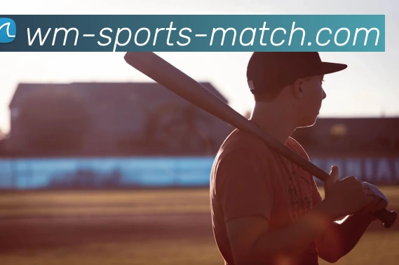完美体育官网平台生态图